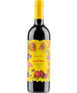 Allumea Nero d'Avola Organic 2021