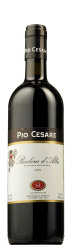 Pio Cesare Barbera d'Alba 2019