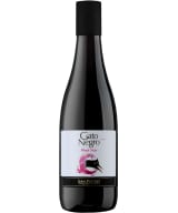 Gato Negro Pinot Noir 2021 muovipullo