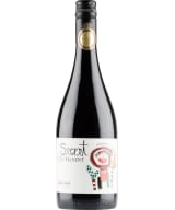 Viu Manent Secret Pinot Noir 2018