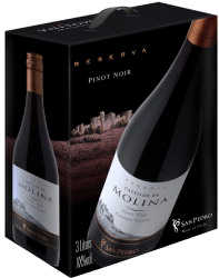 Castillo de Molina Reserva Pinot Noir 2018 hanapakkaus