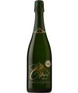 Cipes Brut