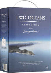 Two Oceans Sauvignon Blanc 2021 hanapakkaus