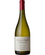 Zuccardi Poligonos Chenin Blanc 2021