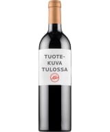 Castero Trebbiano 2021 kartonkitölkki