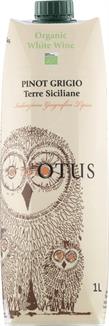 Asio Otus Pinot Grigio Organic kartonkitölkki