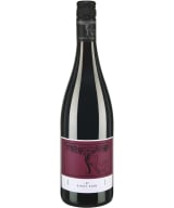 Friedrich Becker Pinot Noir B 2017