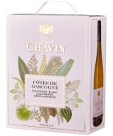 Pierre Chavin Côtes de Gascogne Cuvée Réserve 2021 hanapakkaus