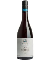 Rivetto Langhe Nebbiolo 2019