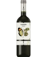 Castano Ecologico Monastrell 2020