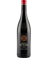 Domini Veneti Amarone della Valpolicella Biologico 2016