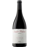 Amador Medrano Terra 2018