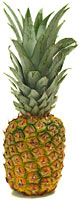 Ananas